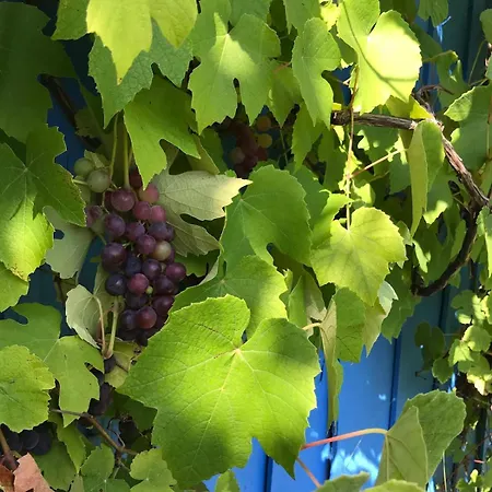 فيلة Maison Chaleureuse Avec Grand Jardin A 2h De Paris Bessé-sur-Braye