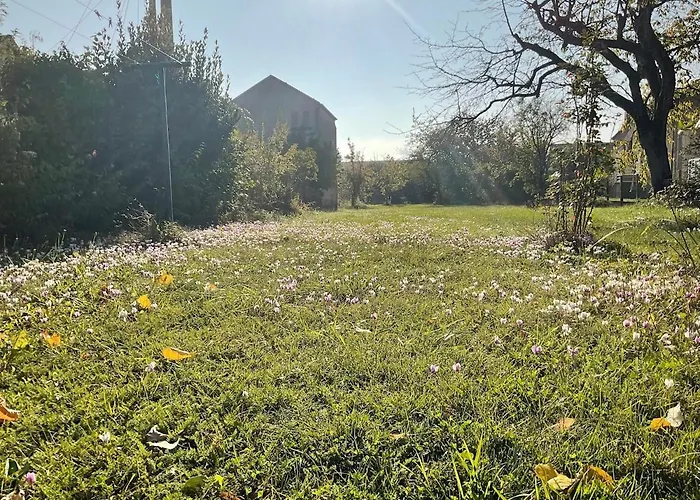 Maison Chaleureuse Avec Grand Jardin A 2h De Paris * Bessé-sur-Braye