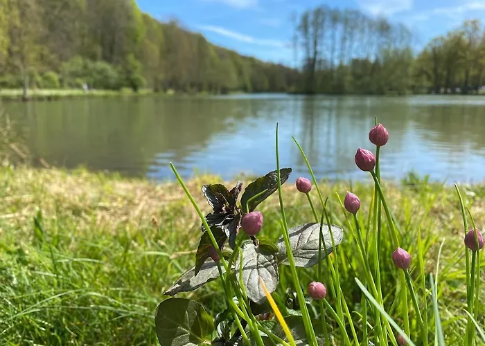 Maison Chaleureuse Avec Grand Jardin A 2h De Paris Bessé-sur-Braye