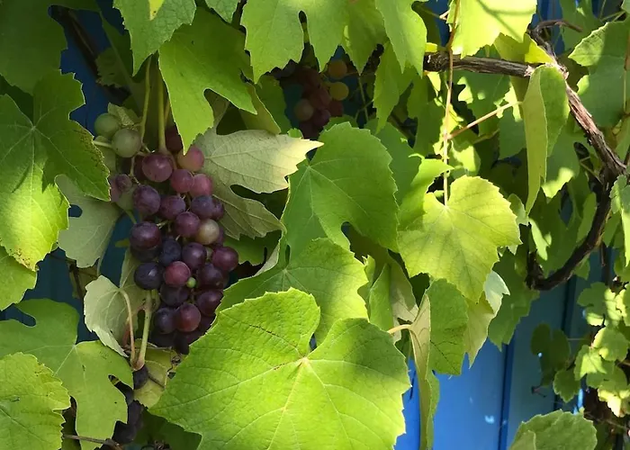 Villa Maison Chaleureuse Avec Grand Jardin A 2h De Paris Bessé-sur-Braye